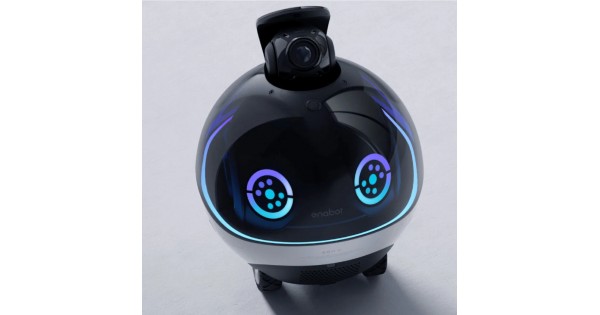 Felix and fido petbot hot sale
